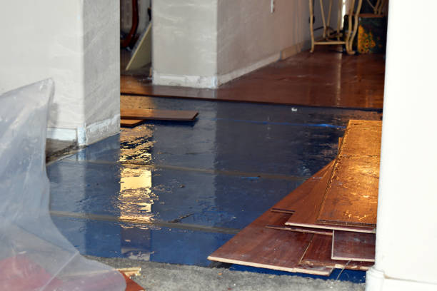 Professional Basement Flood Cleanup technician working in Paris, OH